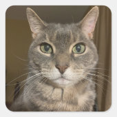 Ophelia Sticker (Vorderseite)