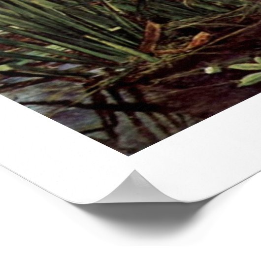 Ophelia von John Everett Millais Poster (Ecke)