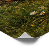 Ophelia von John William Waterhouse Poster (Ecke)