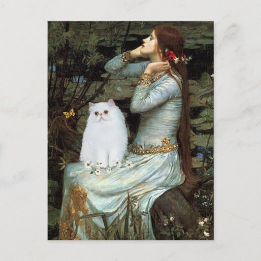 Ophelia - White Persian Kitten Postkarte (Vorderseite)
