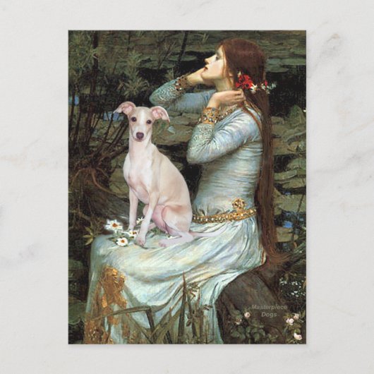 Ophelie - Italienischer Grauhund 5 Postkarte (Vorderseite)
