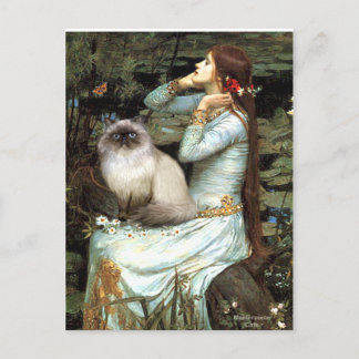 Ophelie - Katze aus dem Himalaya 7 Postkarte