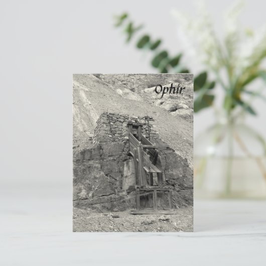Ophir Postkarte (Stehend Vorderseite)