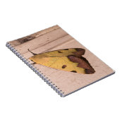 Ophiusa tirhaca, der grüne Drachen Notizblock (Rechte Seite)