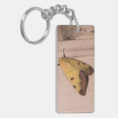 Ophiusa tirhaca, der grüne Drachen Schlüsselanhänger (Vorderseite links)