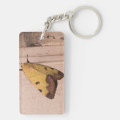 Ophiusa tirhaca, der grüne Drachen Schlüsselanhänger (Rückseite)