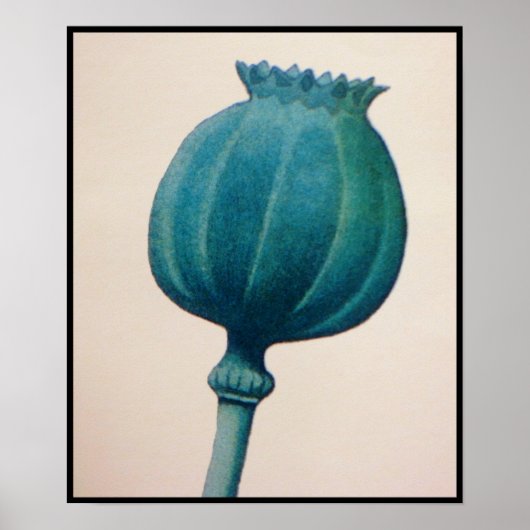 OPIUMKOPF POSTER (Vorne)