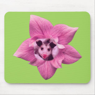 Opossum-Baby-Beutelratte Mousepad
