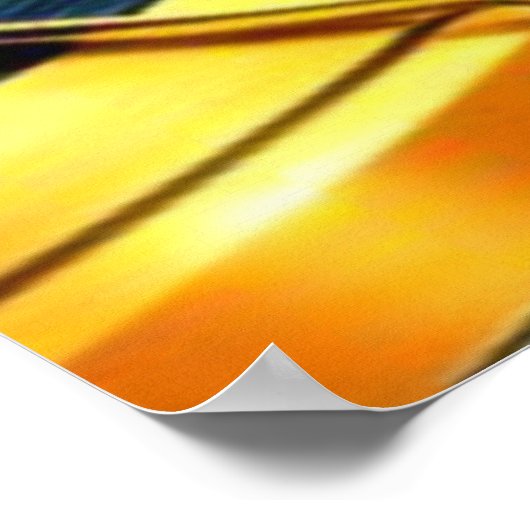 OPOSSUM DEE JAY POSTER (Ecke)