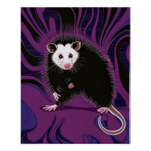 Opossum Design Poster Mauer Lila Schwarz