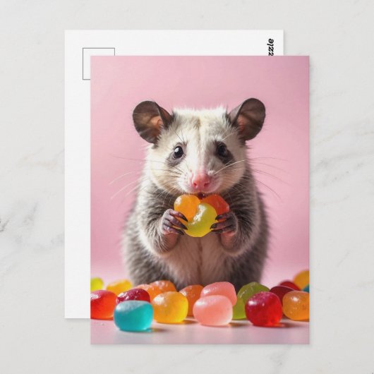 Opossum Eating Gummy Sweeties Postkarte (Vorne/Hinten)