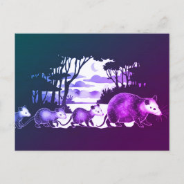 Opossum-Familie in Waldaufklärung Postkarte