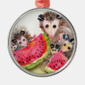 Opossum-Familien-Picknick-Verzierung Silbernes Ornament (Vorne)