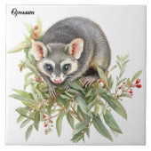 Opossum Fliese (Vorderseite)