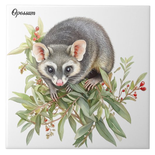 Opossum Fliese (Vorderseite)
