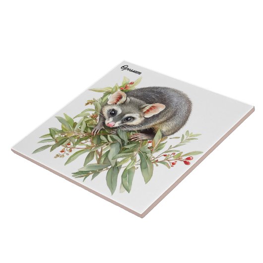 Opossum Fliese (Seite)