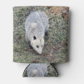 Opossum-Foto Dosenkühler (Vorderseite)