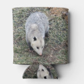Opossum-Foto Dosenkühler (Rückseite)