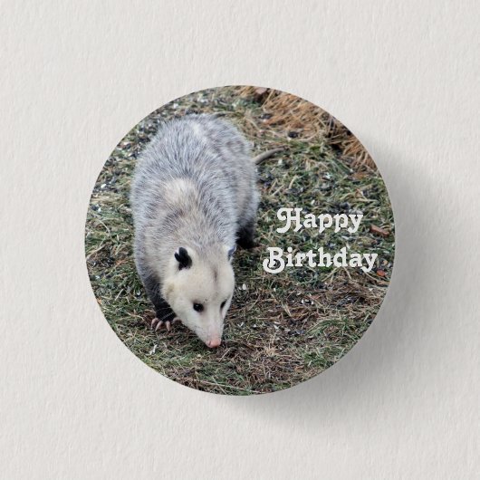 Opossum Foto Geburtstag Button (Vorderseite)