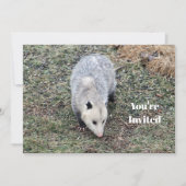 Opossum Foto Geburtstag Einladung (Vorderseite)