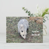 Opossum Foto Geburtstag Einladung (Stehend Vorderseite)