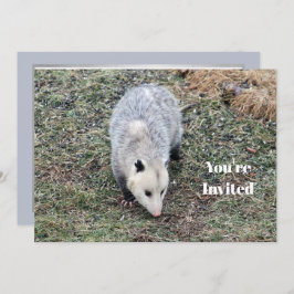 Opossum Foto Geburtstag Einladung