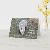 Opossum Foto Geburtstag Karte (Gelbe Blume)