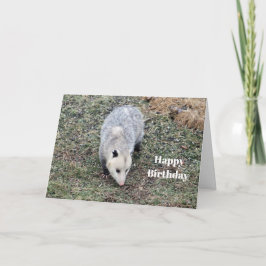 Opossum Foto Geburtstag Karte