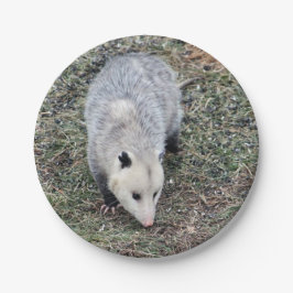 Opossum-Foto Pappteller