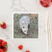 Opossum-Foto Serviette (Beispiel)