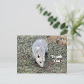 Opossum Foto Vielen Dank Postkarte (Stehend Vorderseite)