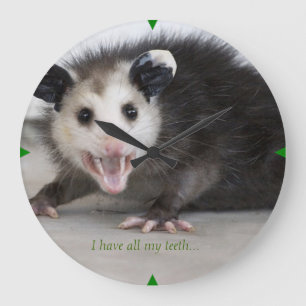 Opossum-Foto-Wanduhr des zahnmedizinischen Büros Große Wanduhr