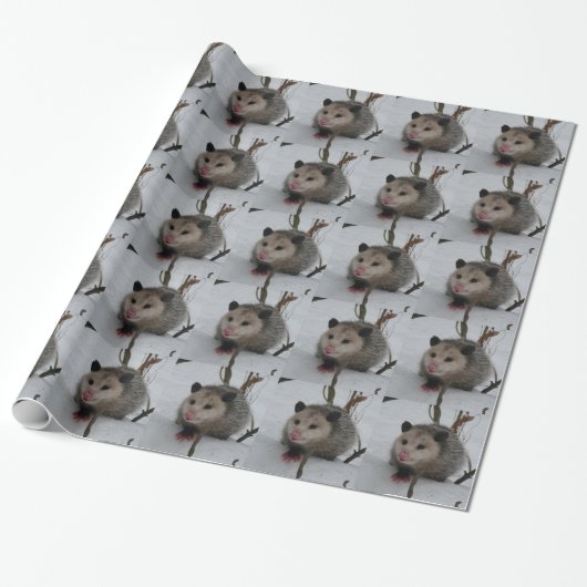 Opossum Geschenkpapier (Ungerollt)