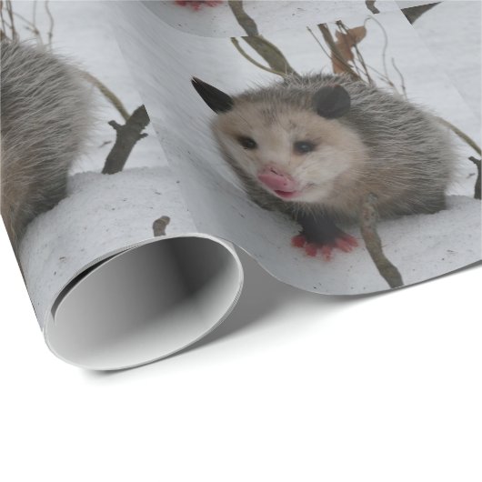 Opossum Geschenkpapier (Rolleneckpunkt)