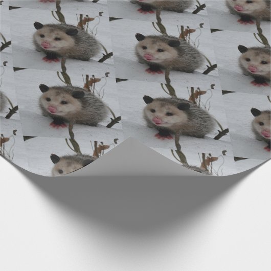 Opossum Geschenkpapier (Ecke)