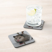 Opossum Getränkeuntersetzer (Rechte Seite)