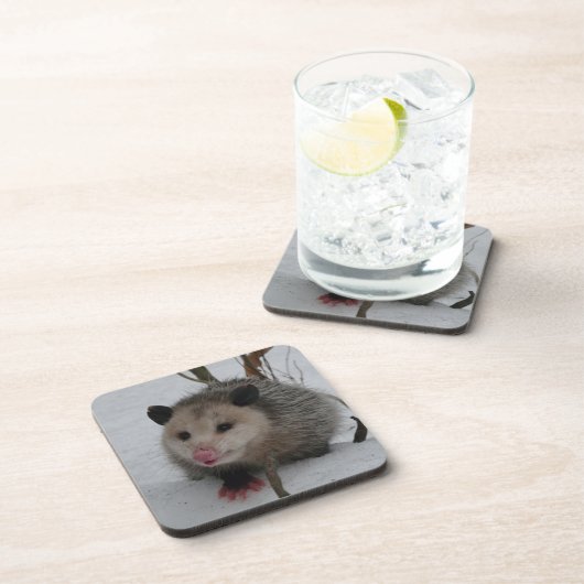 Opossum Getränkeuntersetzer (Rechte Seite)