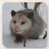 Opossum Getränkeuntersetzer (Vorderseite)