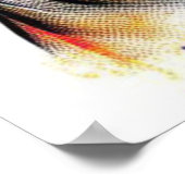 OPOSSUM IN DER GROSSSTADT-6 POSTER (Ecke)