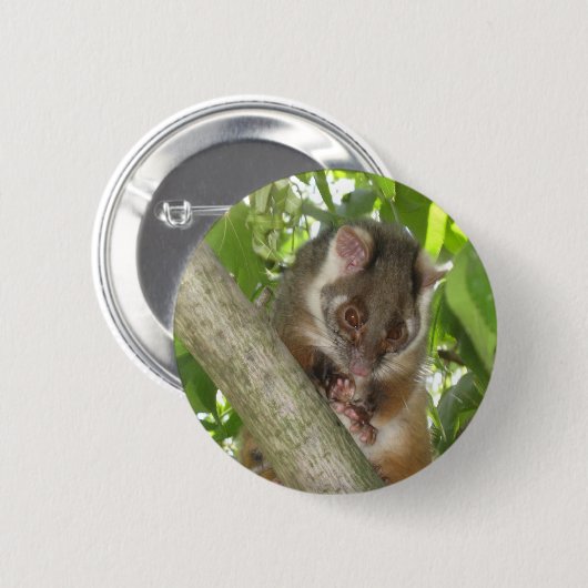 Opossum in einem Baum Button (Vorne & Hinten)