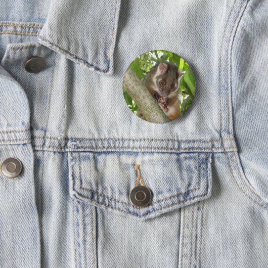 Opossum in einem Baum Button (Beispiel)