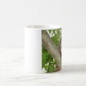 Opossum in einem Baum Kaffeetasse (Mittel)