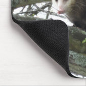 Opossum in einem Baum Mousepad (Ecke)