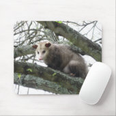 Opossum in einem Baum Mousepad (Mit Mouse)