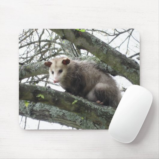 Opossum in einem Baum Mousepad (Mit Mouse)