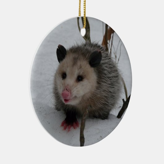 Opossum Keramikornament (Rechts)