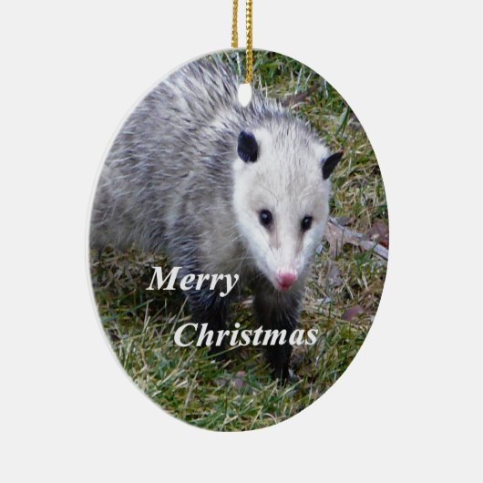 Opossum Keramikornament (Rechts)