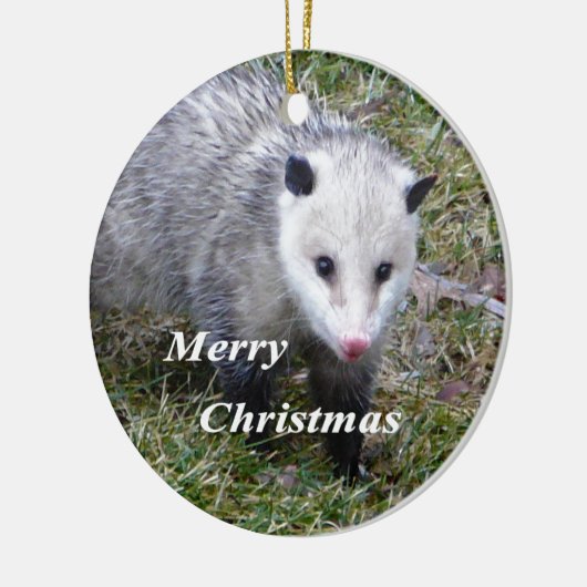 Opossum Keramikornament (Links)