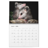 Opossum-Lächeln Kalender (Mär 2026)