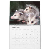 Opossum-Lächeln Kalender (Jan 2027)